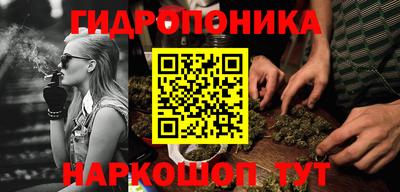МДПВ Краснознаменск