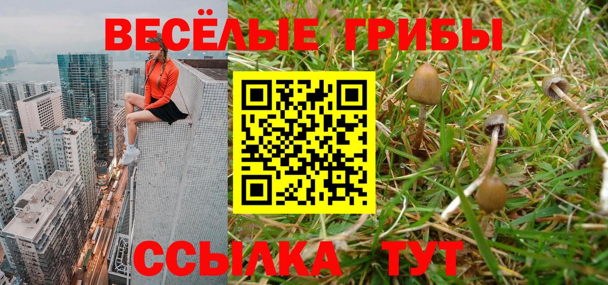 Галлюциногенные грибы прущие грибы Ефремов