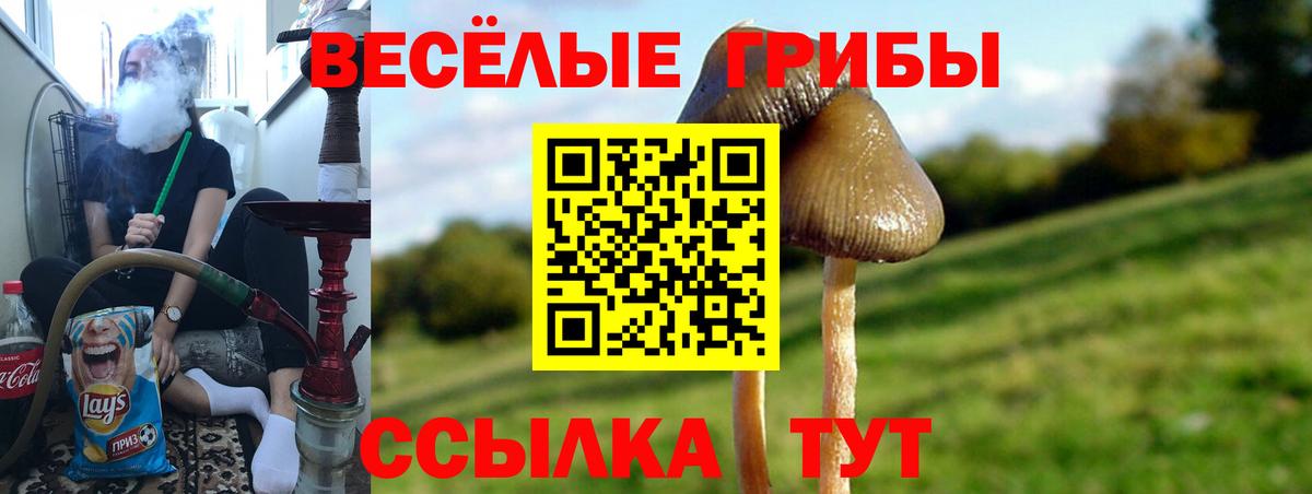 Ефремов  Галлюциногенные грибы Cubensis  Галлюциногенные грибы GOLDEN TEACHER  закладки  Вход с VPN 
